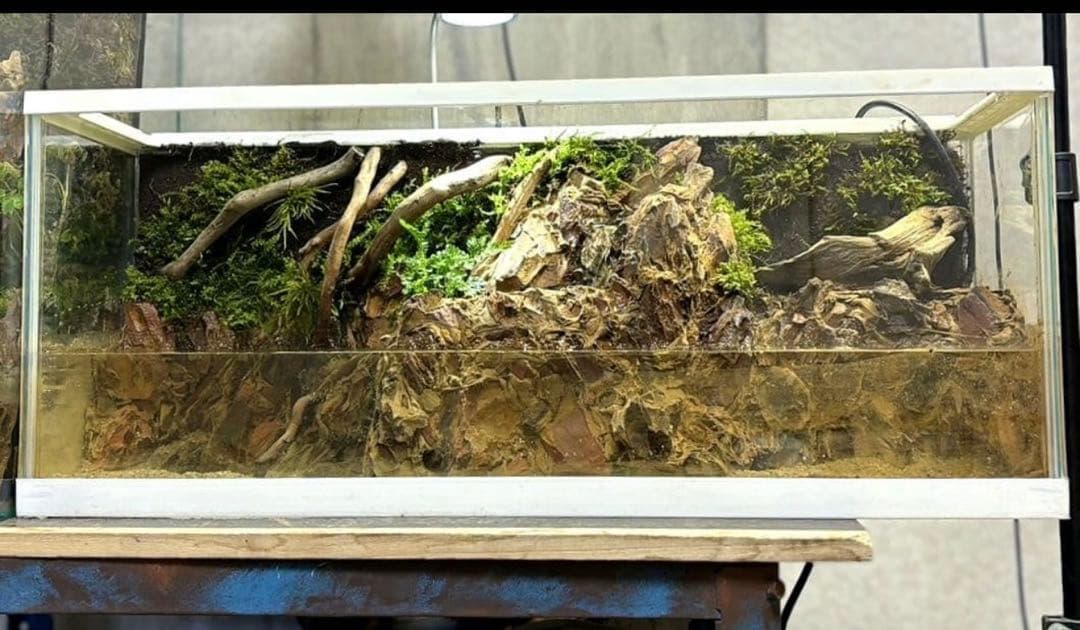 滝の流れるアクアテラリウム イモリウム