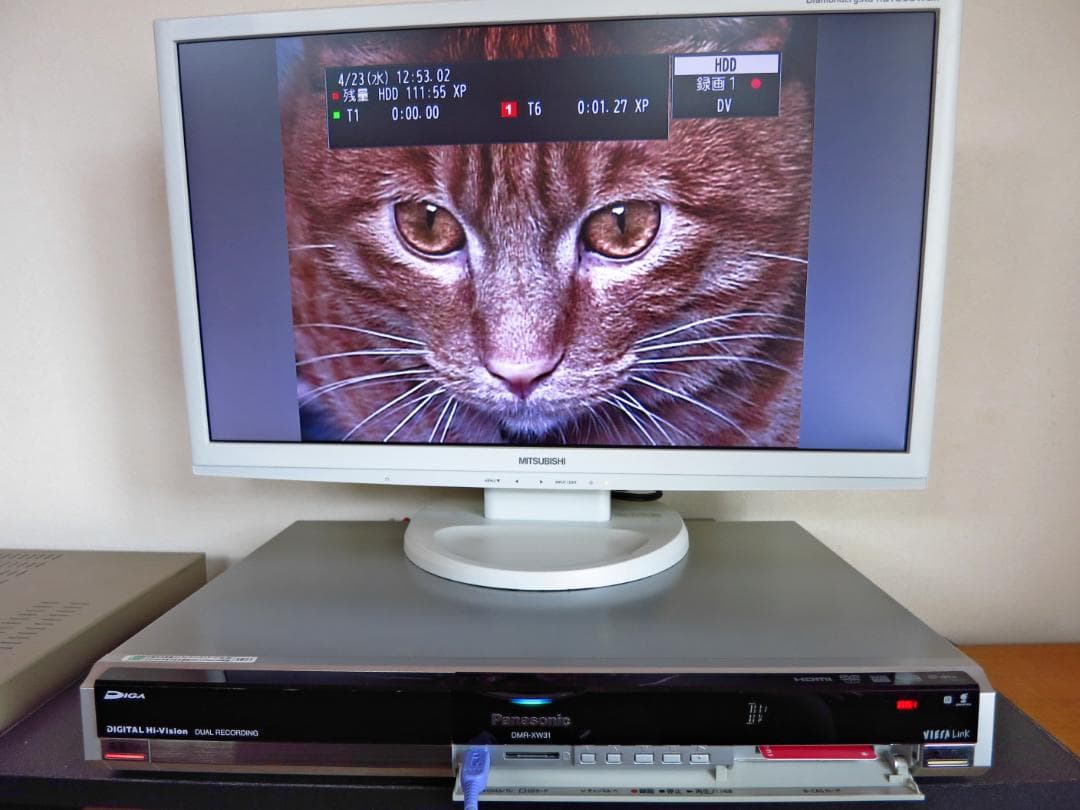Panasonic HDD内蔵W録画DVDレコーダー DMR-XW31