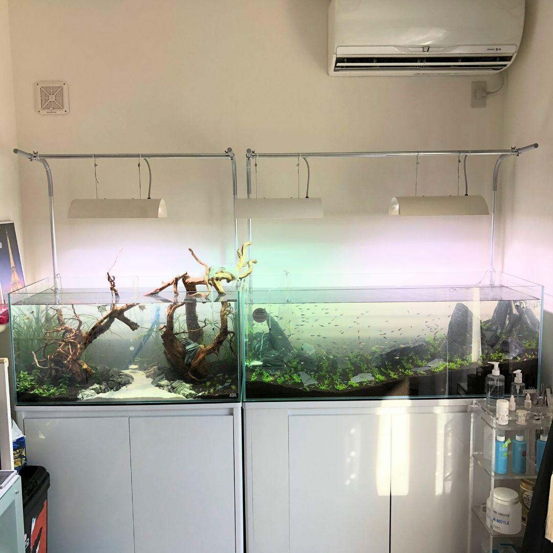 nekozukiI コレクション ネコズキ ガリガリボード 爪とぎフレーム＆爪