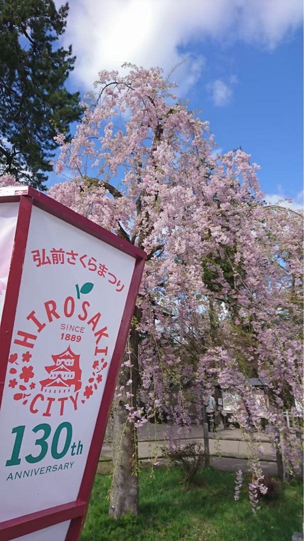 レンズ(ズーム) Panasonic LUMIX G VARIO 14-45mm F3.5-5.6