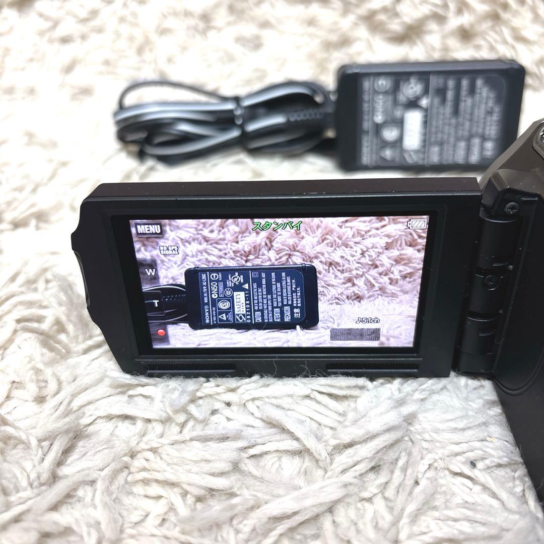 【極希少】SONY Handycam HDR-CX560v NP-FV100付き