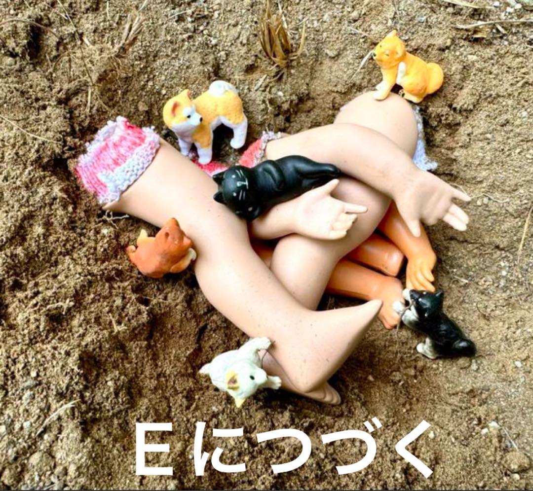 D 写真20枚１セット　A4サイズの写真用光沢紙にてコピーします。