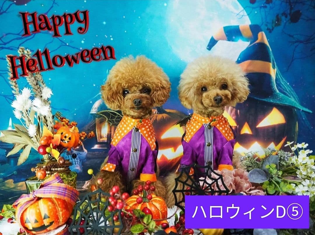 背景布【秋H】サンプル 9月お月見、ペット、トリミング撮影用