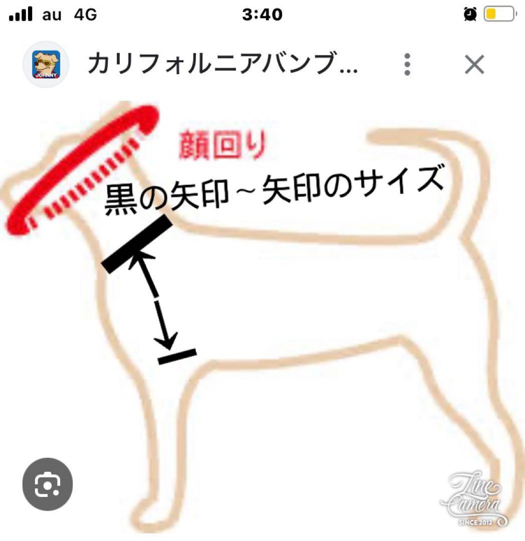 B419.pon2pan2☆オーダー☆犬着物☆犬2ウェイ着物☆犬お引き摺り着物