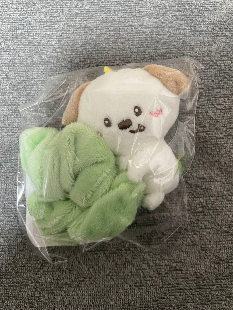 RIIZE ペンライト シュシュ モンリョンイ アントン RIIZE アントン