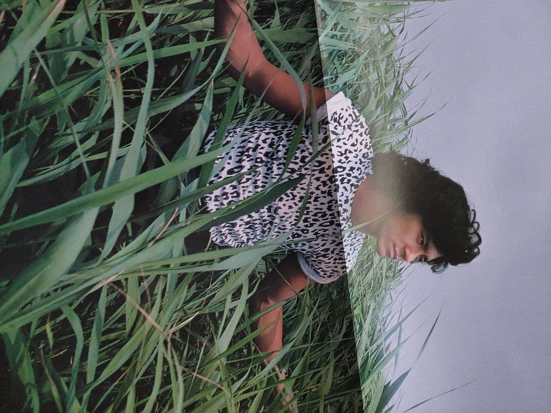 西城秀樹さんパンフレット写真セット