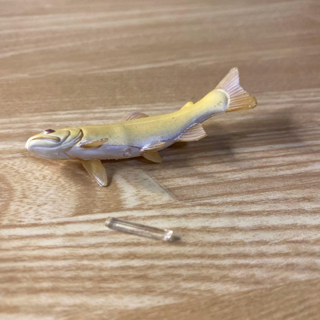 中古】YUJIN 原色淡水魚図鑑 イワナ ウナギ 大正三色｜中古】YUJIN