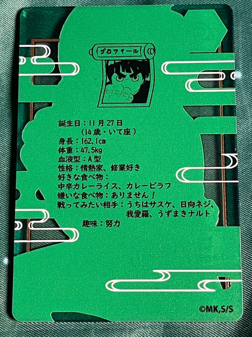 ナルト ステータスカードコレクション 日向 ネジ ロックリー セット