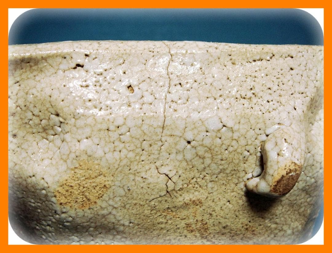 798『志野 草鳥 額皿』 /骨董品 古美術 古道具 アンティーク