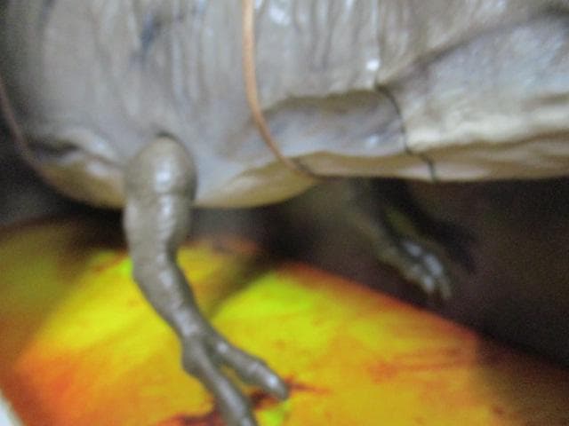 【中古】ジュラシック・ワールド スーパービッグ！T-レックス II