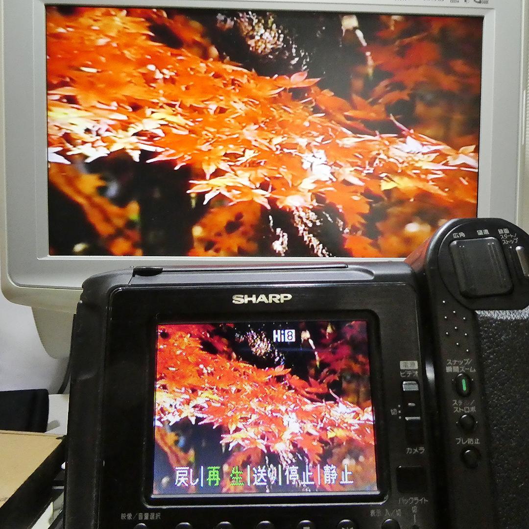 動作良好 Video.Hi8 シャープ VL-HL3 高画質 8ミリビデオカメラ SHARP