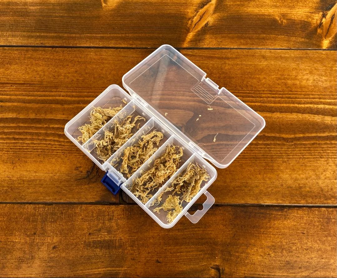 クワガタ採集セット オリジナル掻き出し棒 デジタルノギス 採集ケース