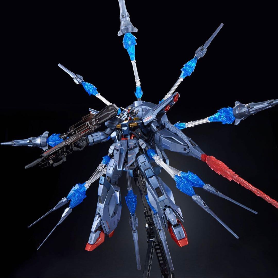 ＭＧ 1/100 プロヴィデンスガンダム [スペシャルコーティング]　プレバン