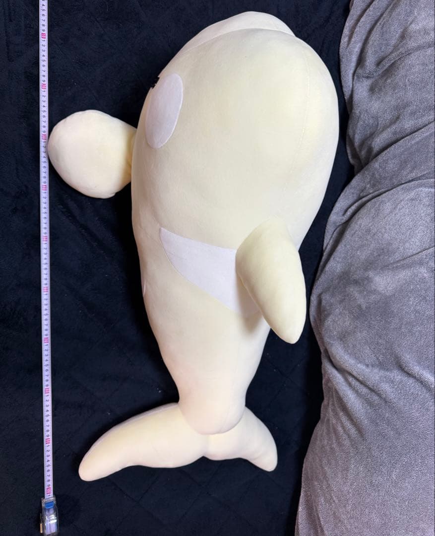 【最終値下げ】名古屋港水族館　くじ特賞　シャチ　ぬいぐるみ　アルビノ 約90cm