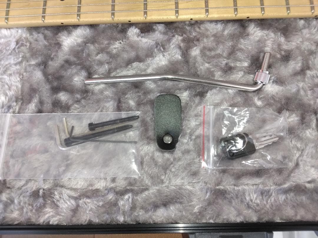 EVH Striped Series 白黒 ＋ 新品Fenderケース