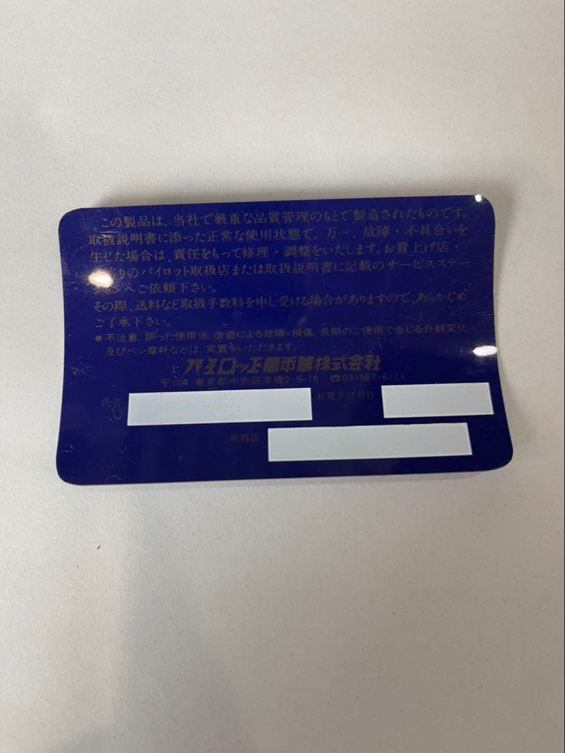 \"希少\"PILOT 18K-750 般若心経 アンティーク万年筆