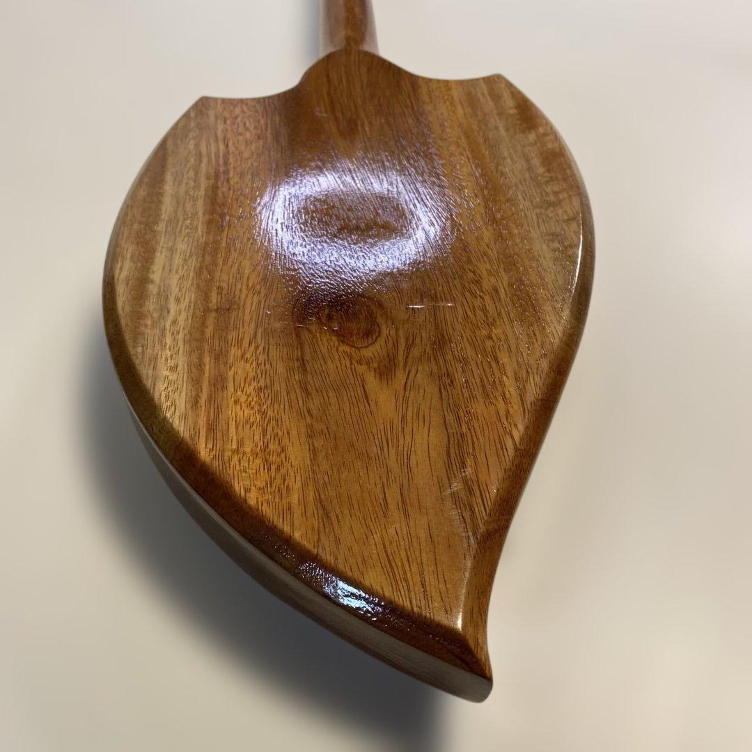 タイ 伝統楽器 エレクトリック ピン 三弦 バンコク 民俗楽器 Thai 未