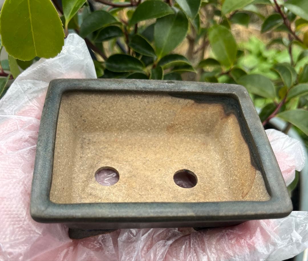 小品盆栽鉢 盆栽鉢 佑泉