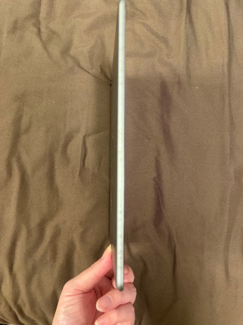 iPad本体 iPad Pro 9.7inch 256GB WiFi/Celler