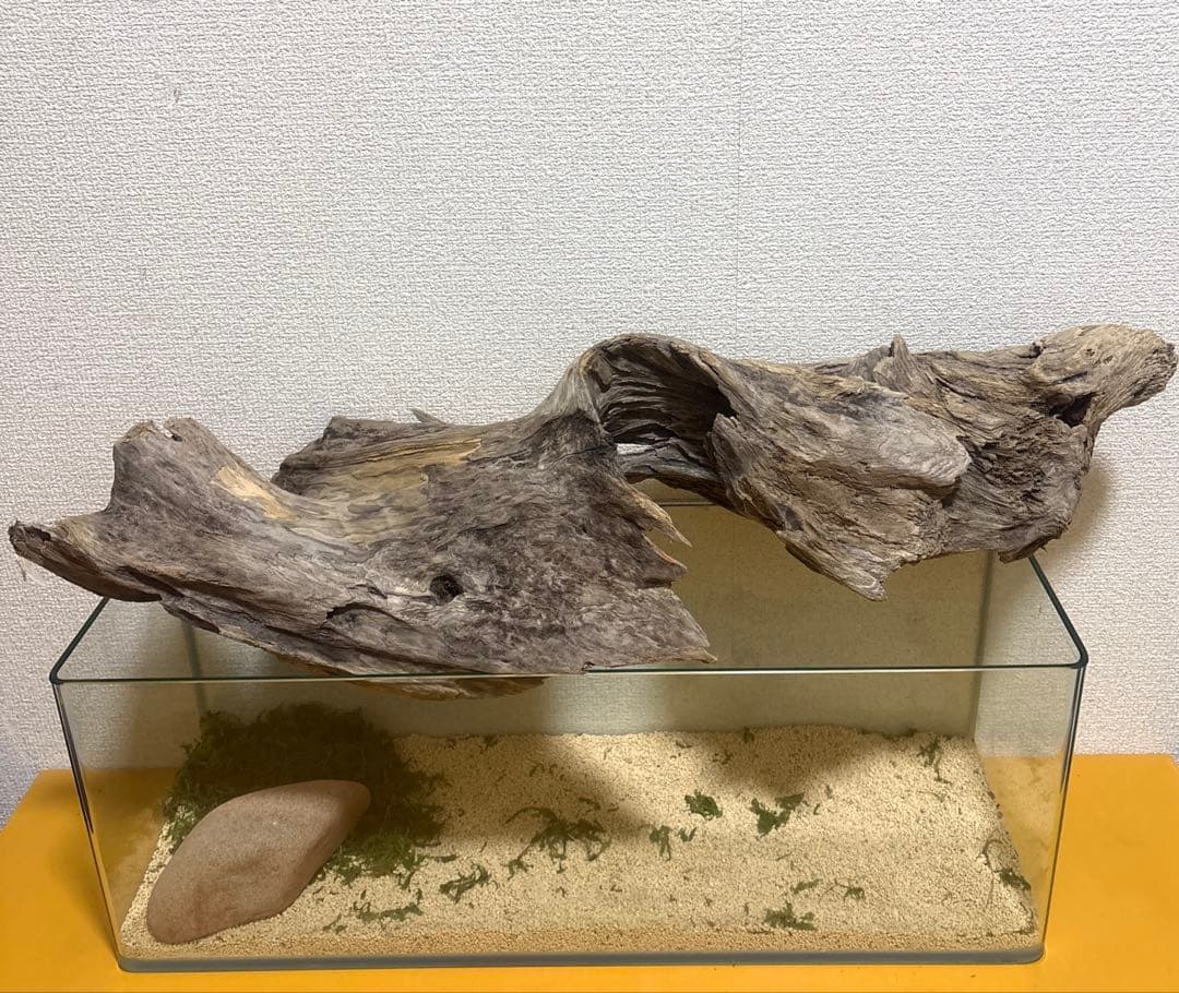 G67 流木 爬虫類 両生類シェルター バスキング 観葉植物 インテリア