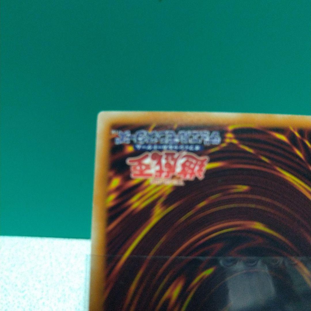 ブラック・ローズ・ドラゴン　ホロ