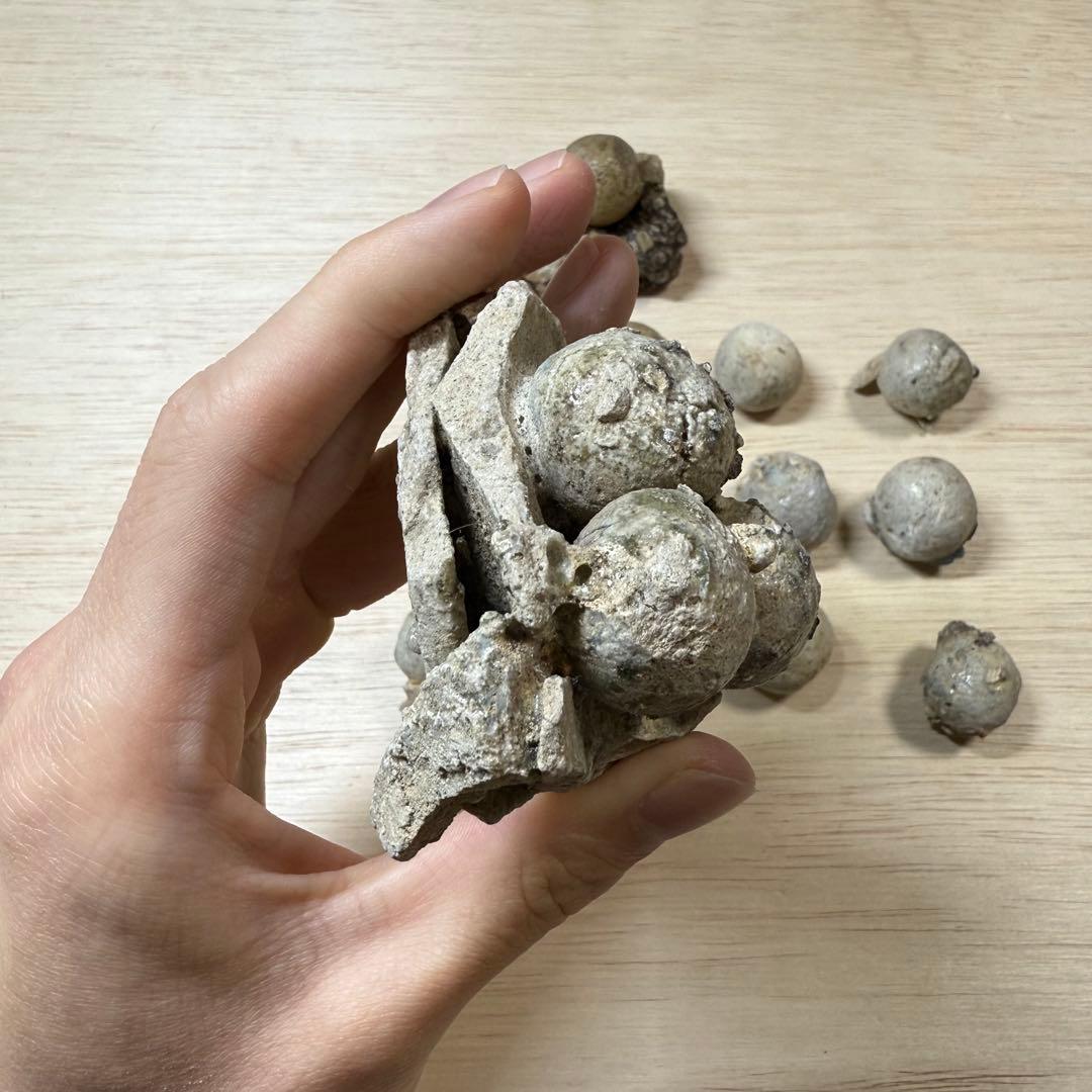 古瀬戸 陶丸 鎌倉時代 室町時代 陶片 発掘品 古常滑 古美濃 古美術 骨董品