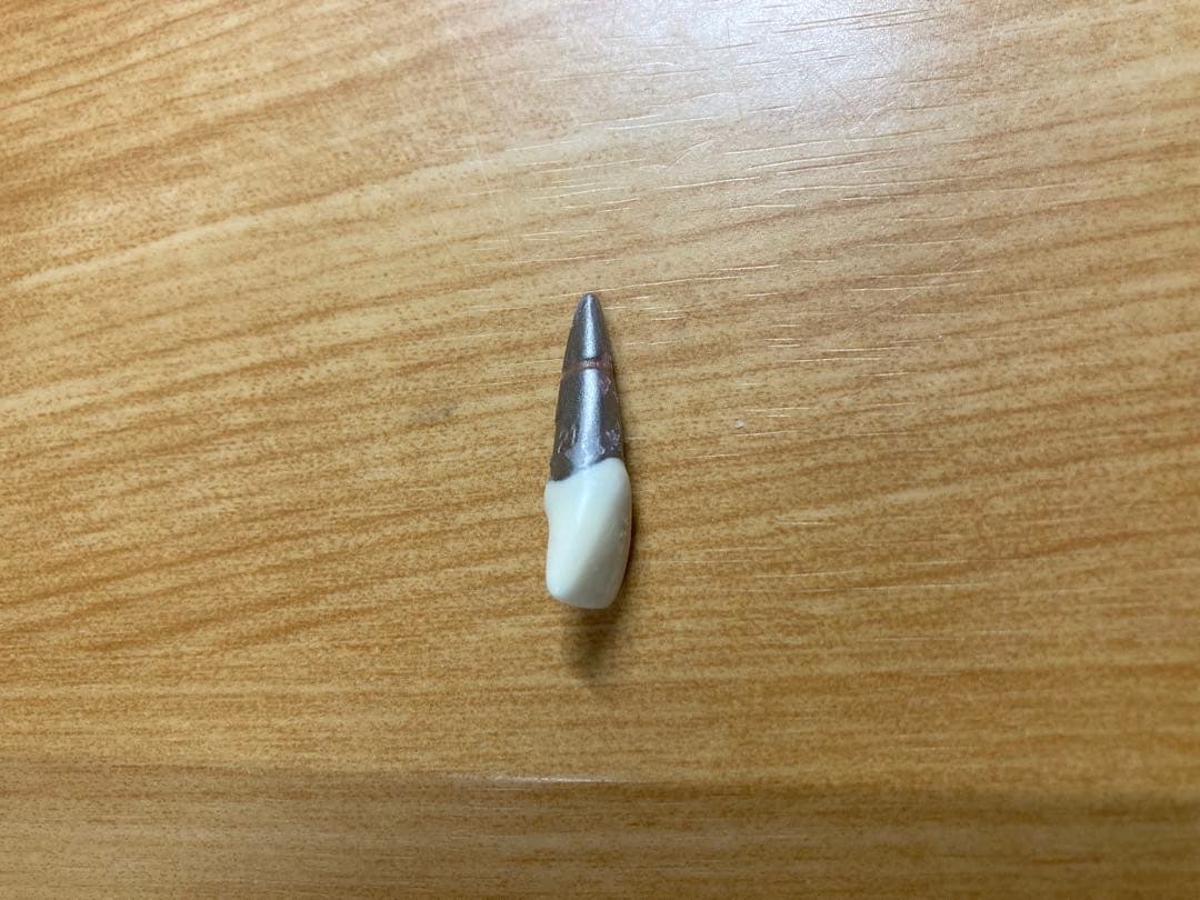 タイポドント咬合器&メタルティースセット ロッキー（JMオーソ）型