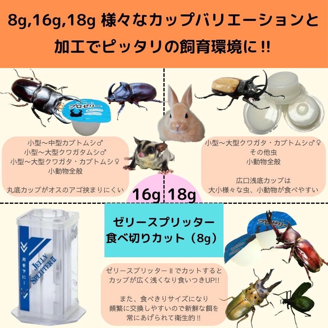 国産プロゼリー1500個KBファームカブトムシ　クワガタinsect jelly