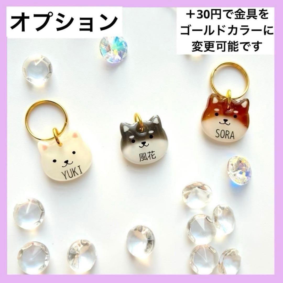 オーダー注文《 数量限定》柴犬種類選択 》迷子札　犬　名札
