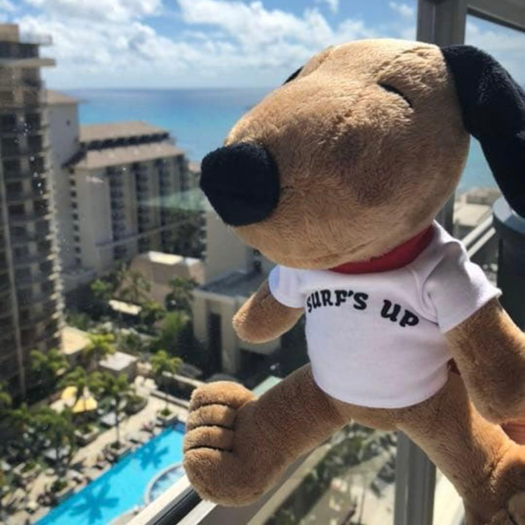 ラブリーバニー モンチッチ クレアーズコラボうさ玉モンチッチ 3体