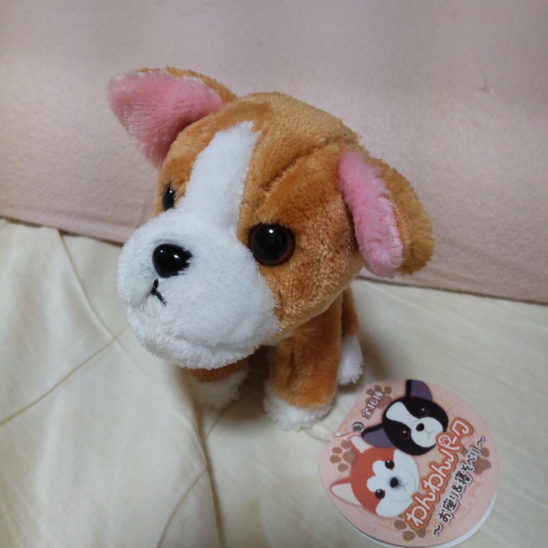わんわんパーク ぬいぐるみ ③