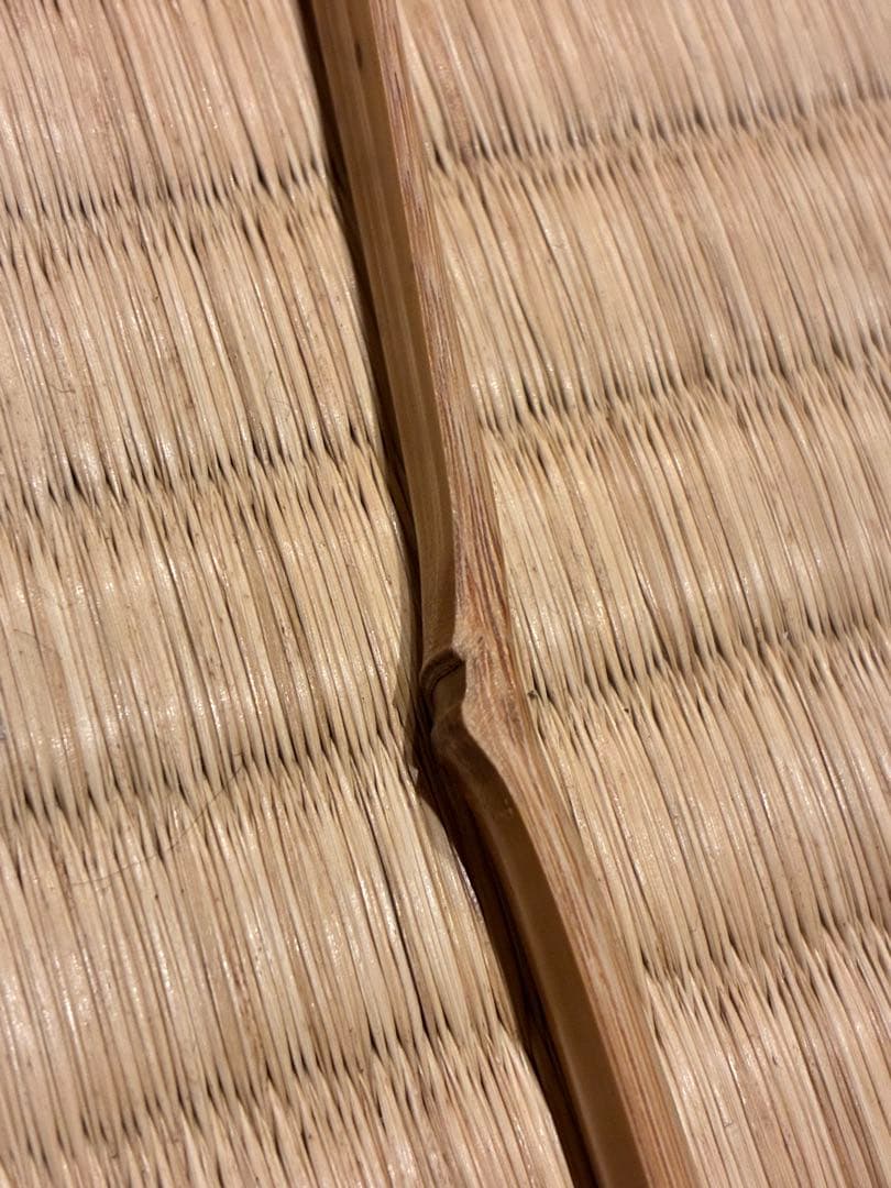 茶道具 茶杓 銘『冬木立』 大徳寺三玄院 長谷川寛州老師 書付 久保良斉