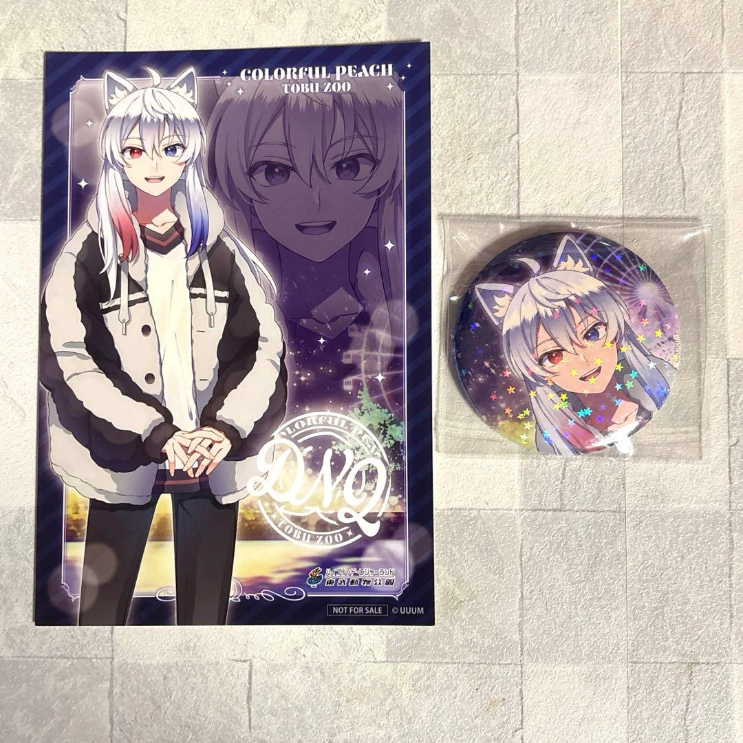 カラフルピーチ 東武動物公園 缶バッジ ポストカード どぬくさんセット
