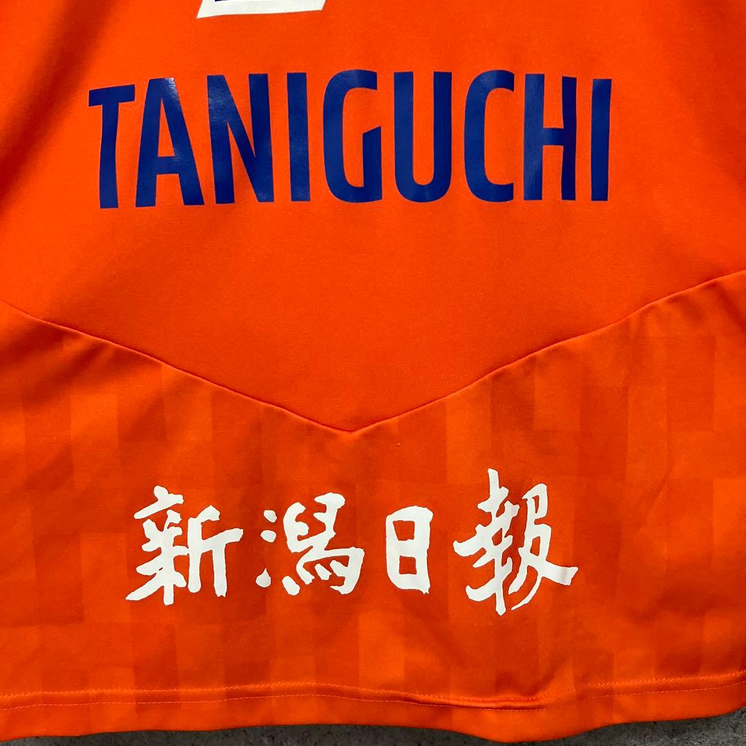 アルビレックス新潟 2023年 ホーム 谷口海斗 ユニフォーム 7番 M