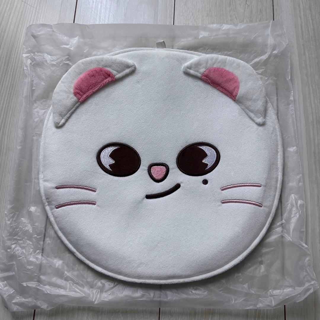 StrayKids スキズ ペンライト うちわ うちわカバー アプクレ特典