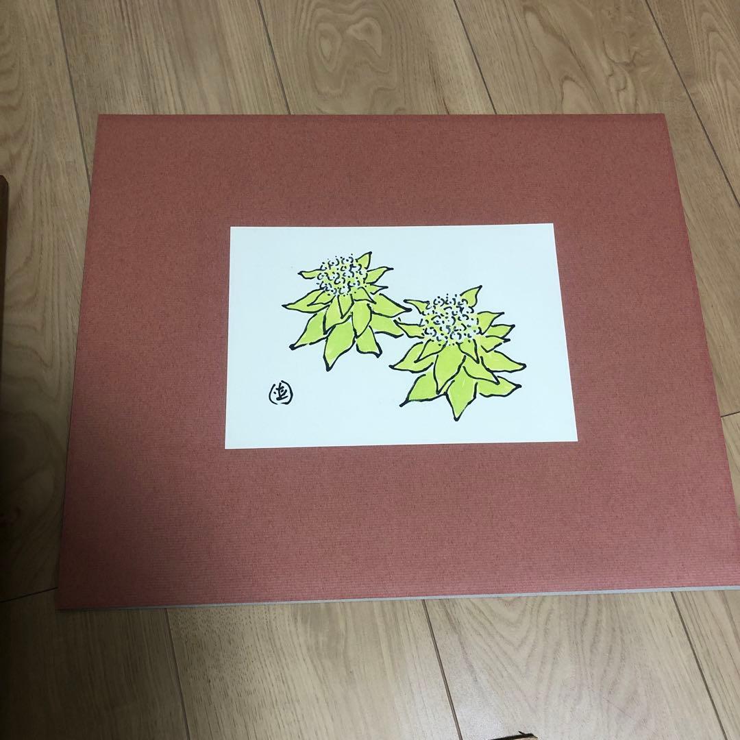 坂本直行　ふきのとう　水彩画