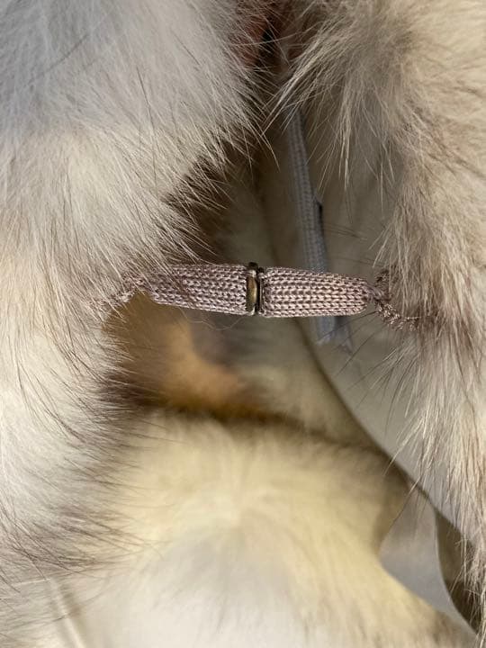 ⭐*)様 【Y2K】h.naotoうさぎのモンスター風マフラー h.naoto