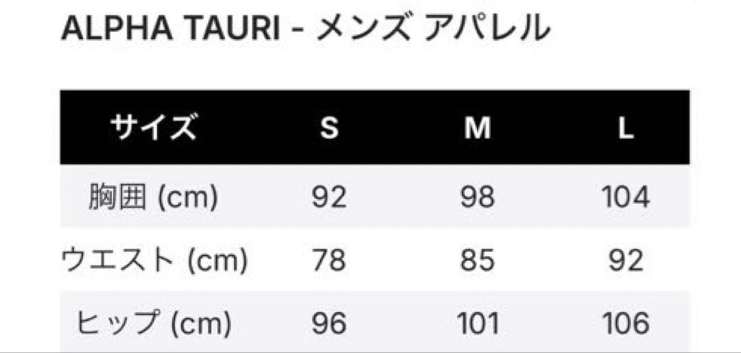 F1 2023 アルファタウリ ソフトシェル ジャケット サイズL 正規品