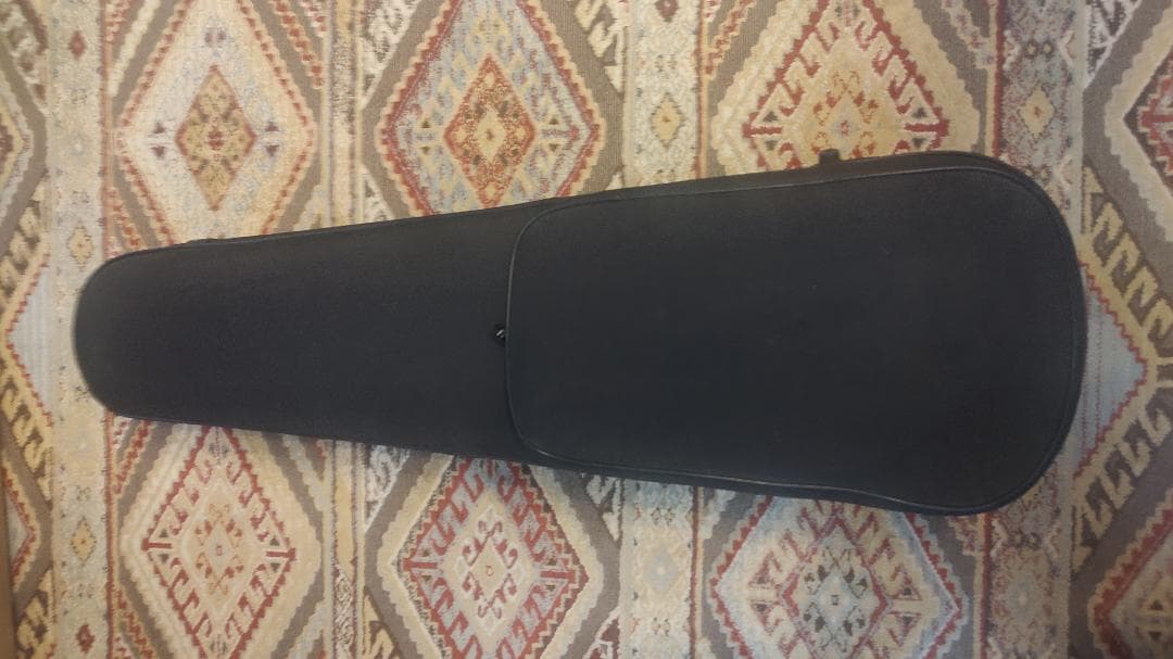 CARLO GIORDANO VS-2 4/4サイズ バイオリン 本体+弓2本