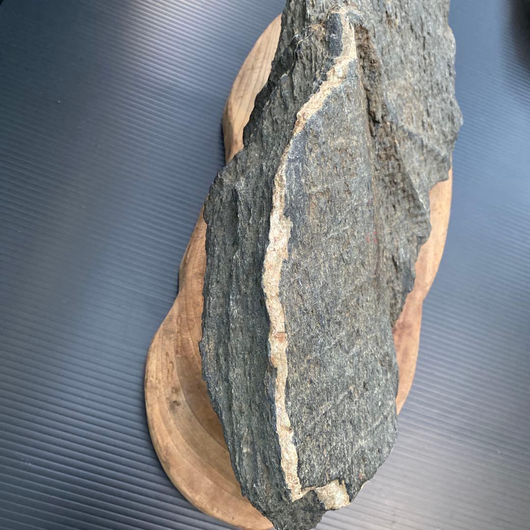 日本三大銘石佐治石】 古代石 採石禁止石 鯨形 珍品