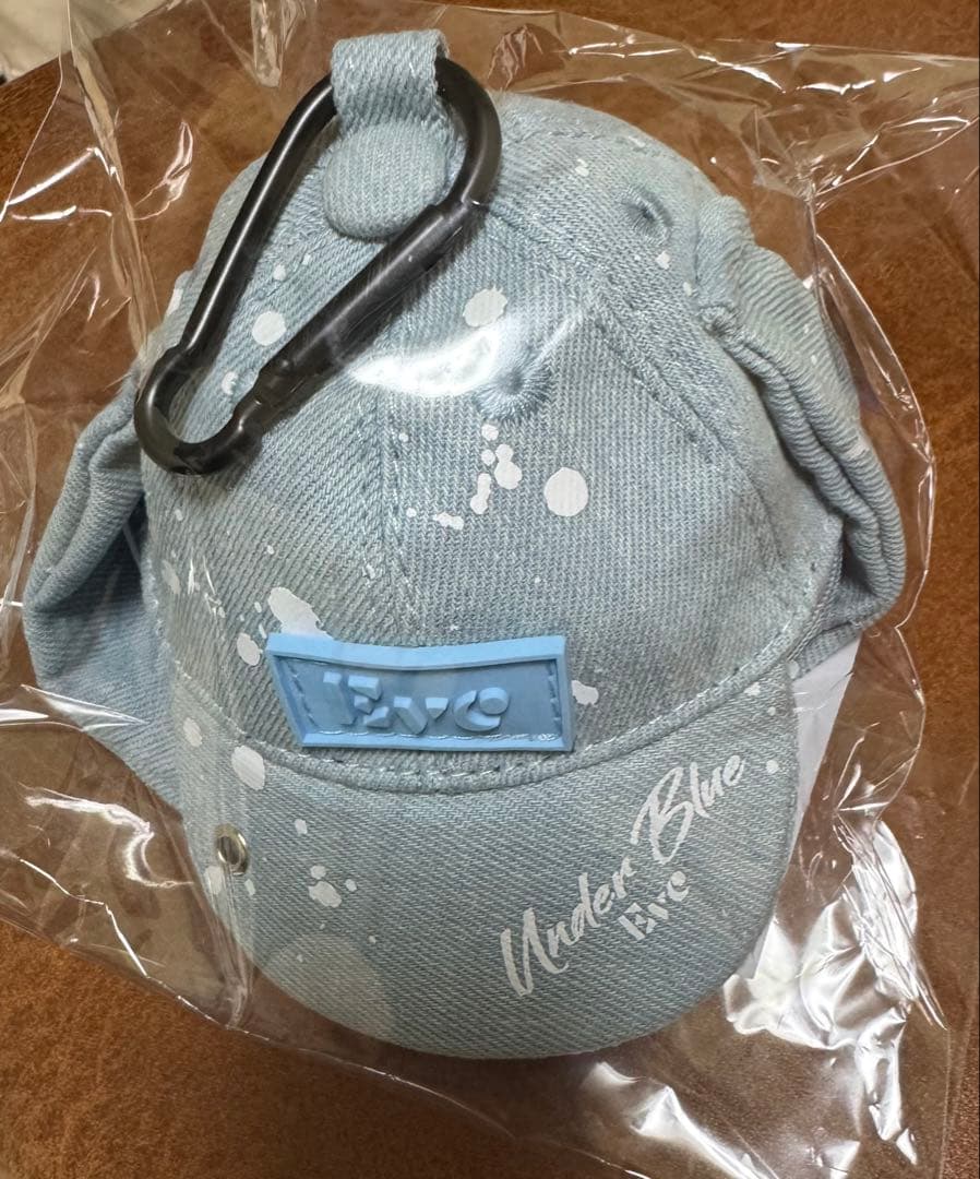 Eve UNDERCOVERくじ D賞キャップポーチ under blue Eve Anniversary
