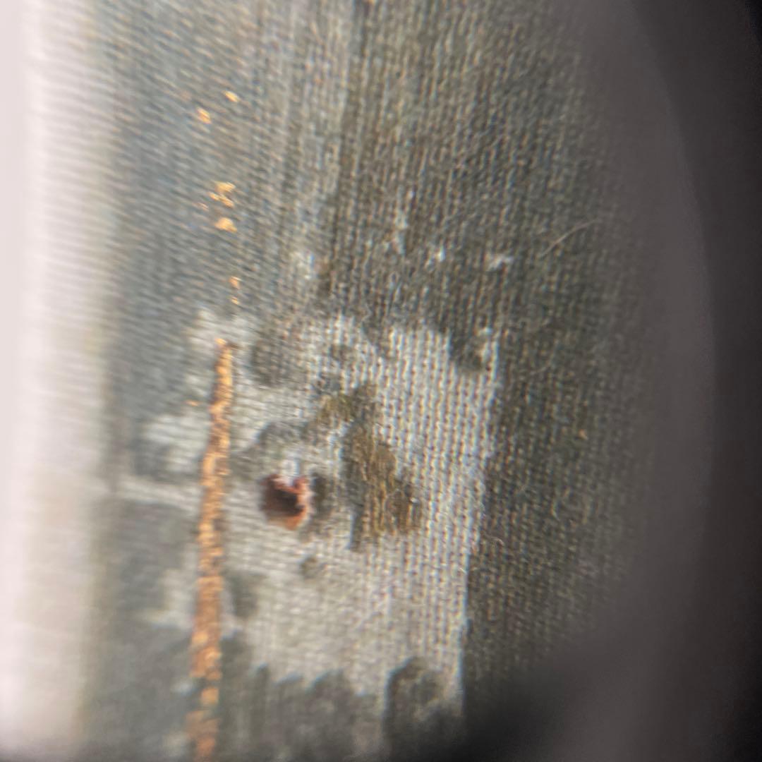 モディリアーニ 女の肖像　キャンバス　木枠　複製画　レプリカ　ヴィンテージ