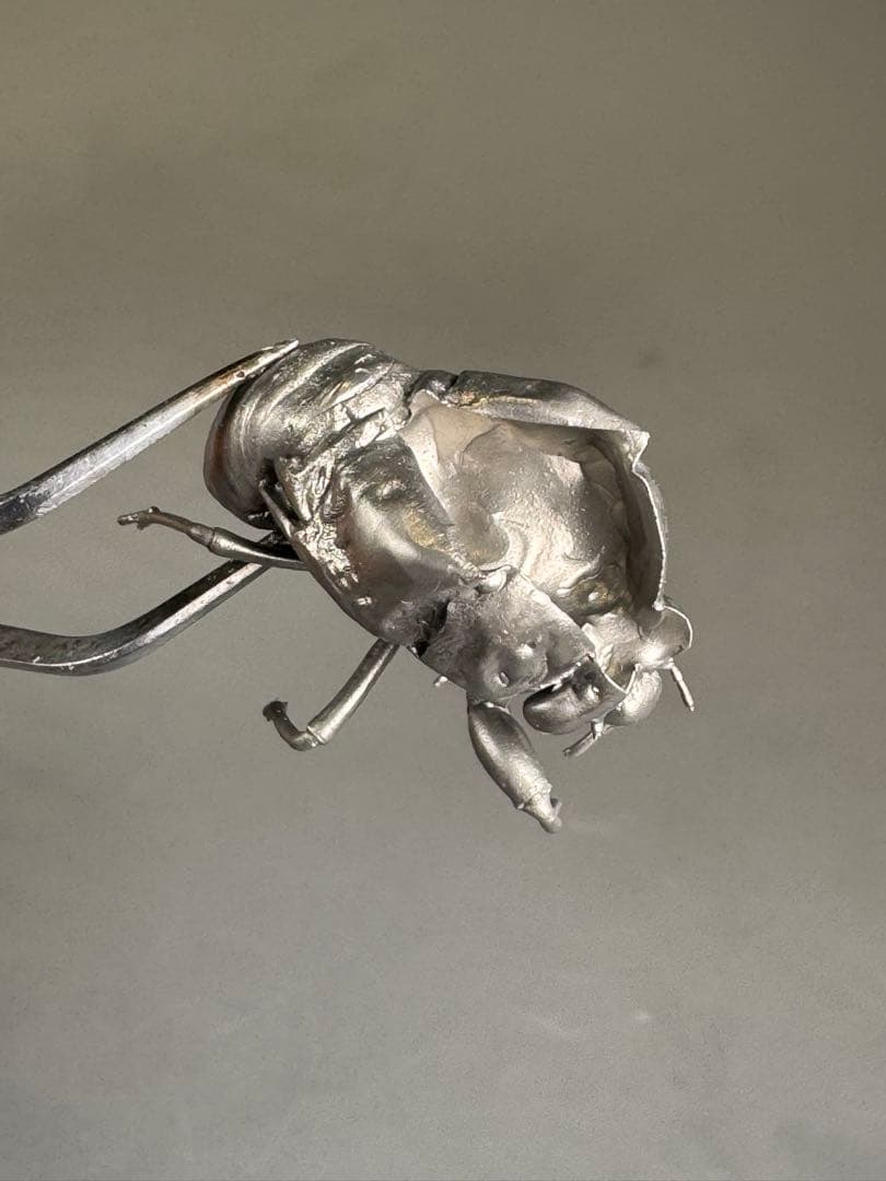 蝉 蝉の抜け殻 セミ オブジェ 虫好き 金属製 標本