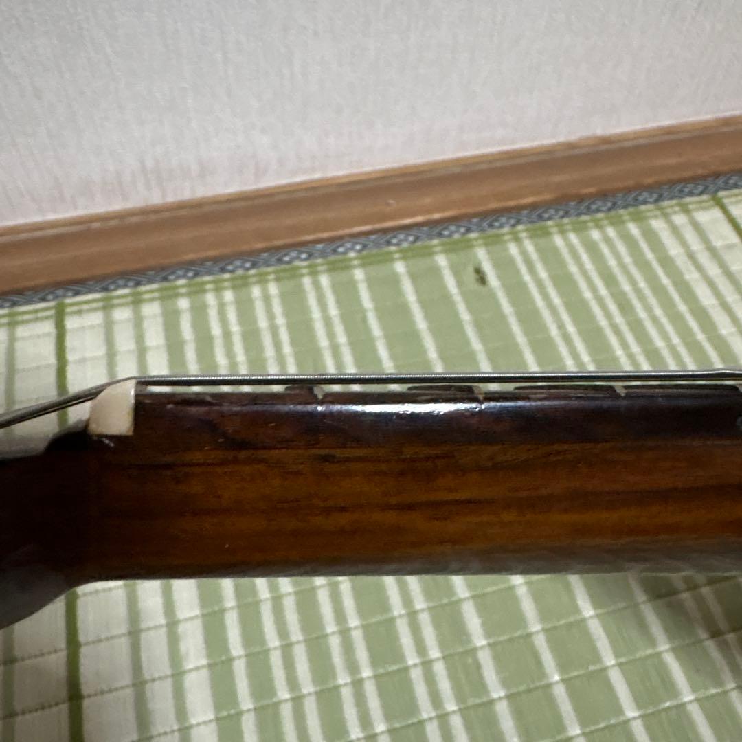 Raffaele 寺田楽器製 ハイエンド マンドリン RM-3 弦 ギターの通販はau