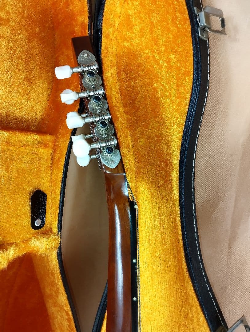 【美品】SUZUKI M-30マンドリン 8弦 ハードケース付き