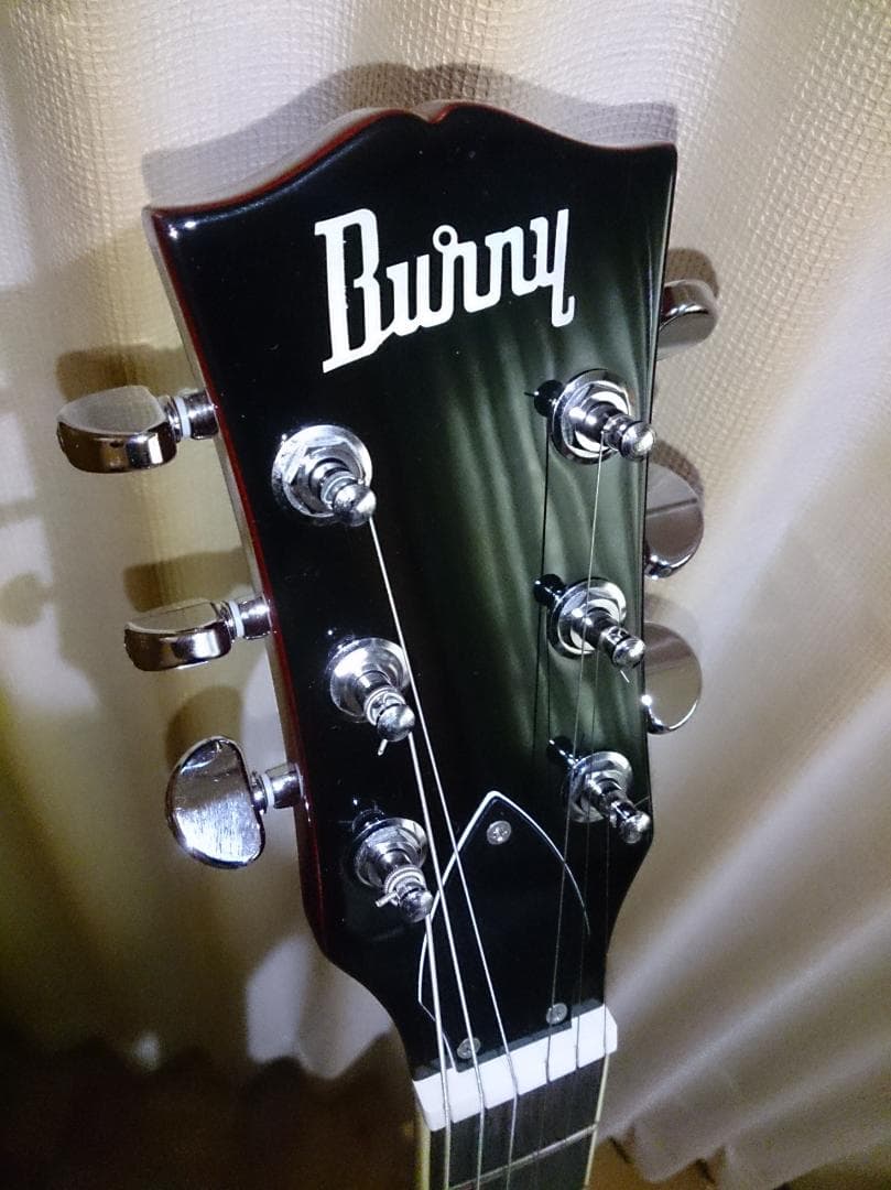 【ハードケース付属】 Burny SRSA65 ES-335タイプ