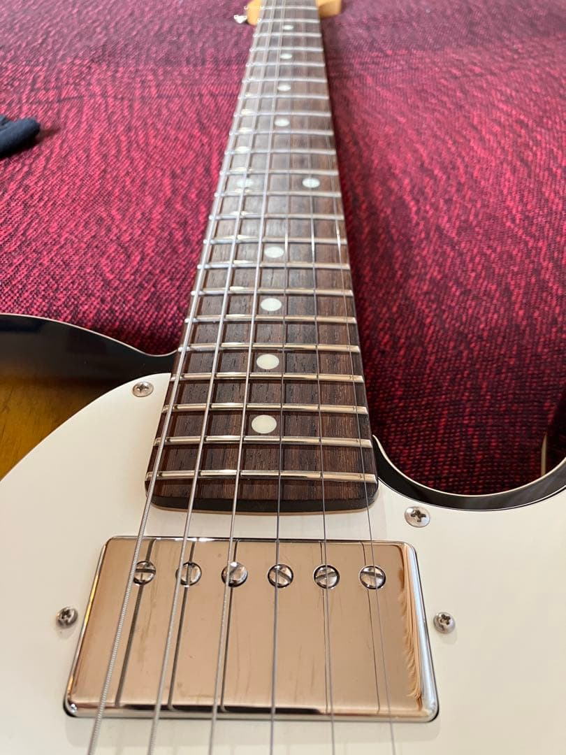 FGN 上位機種 テレキャス NTE21RAH アッシュ美品