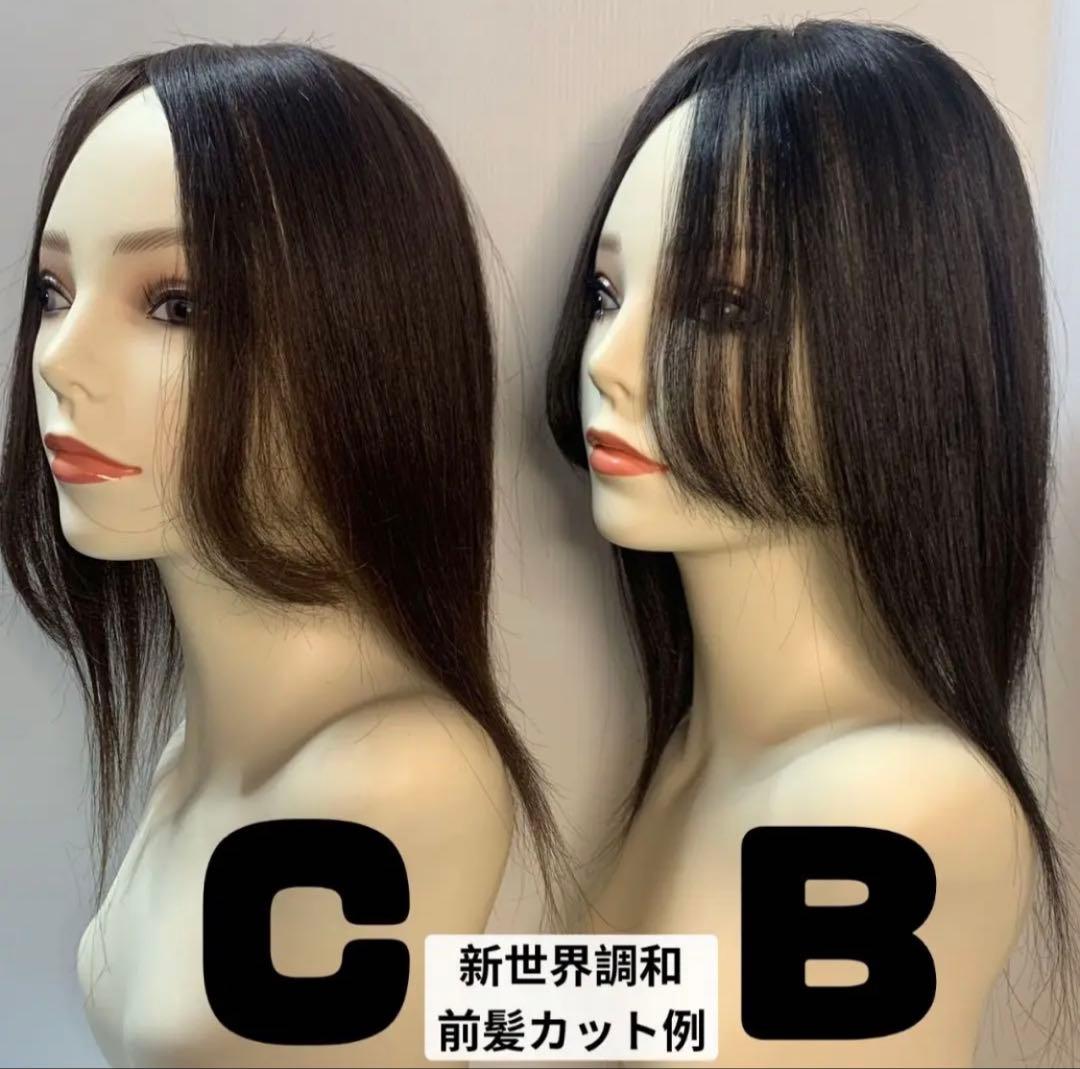 真・新健康シリーズ2025新世界人毛100%ウィッグMシルクスキン　医療ウィッグ