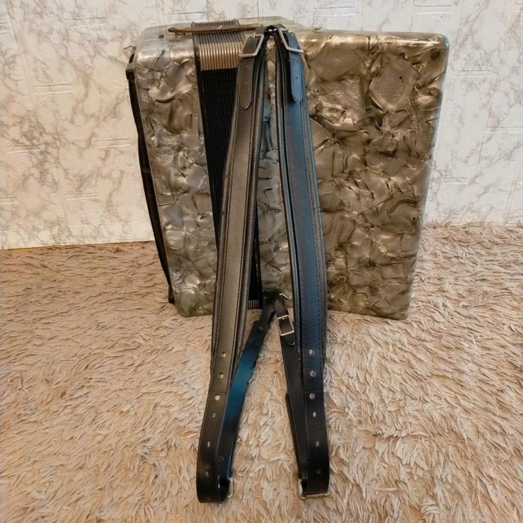 激レア 希少 ドイツ製 スズキ アコーディオン A-34T 定価15万 - メルカリ