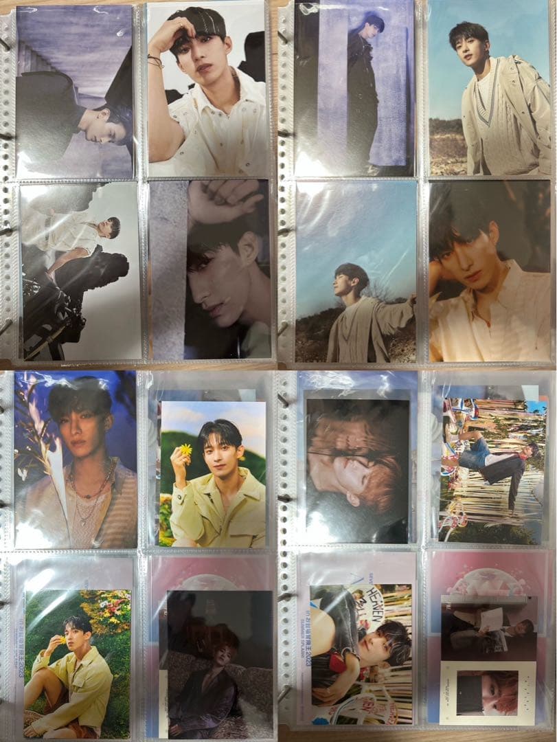 SEVENTEEN セブチ ドギョム DK まとめ売り